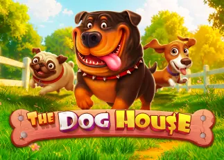 mm88big ล่าสุด The Dog House ทดลองเล่นฟรี